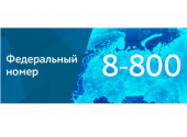 Федеральный номер 8-800-600-63-02